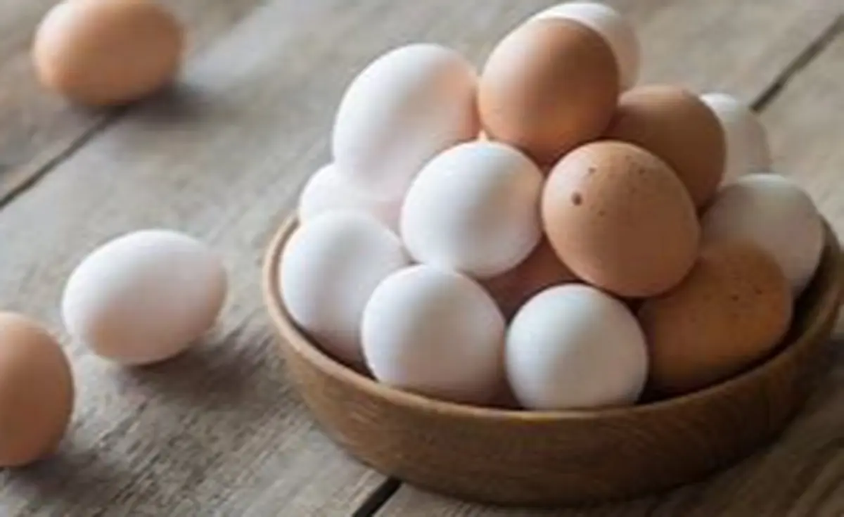 چقدر مصرف تخم مرغ در روز مجاز است؟ | تاثیر تخم مرغ بر کلسترول خون چقدر است؟