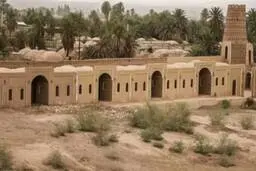 رویش امید بر کرانه کویر
