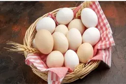 جهان بدون تخم‌مرغ چه چیزی کم دارد؟ | درس‌های تخم‌مرغ

