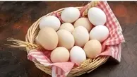 جهان بدون تخم‌مرغ چه چیزی کم دارد؟ | درس‌های تخم‌مرغ
