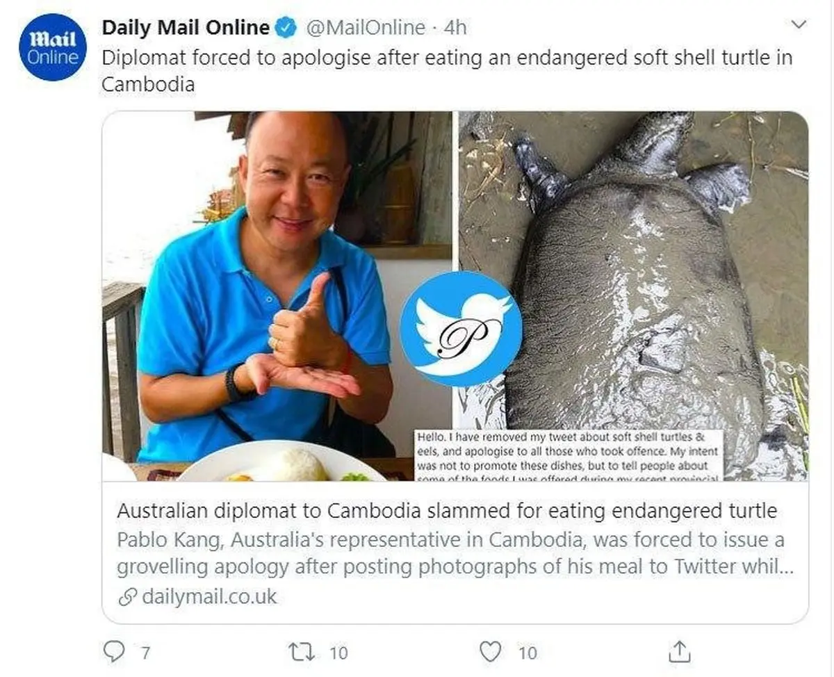عذرخواهی سفیر استرالیا در کامبوج به دلیل خوردن لاک پشت