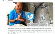 عذرخواهی سفیر استرالیا در کامبوج به دلیل خوردن لاک پشت
