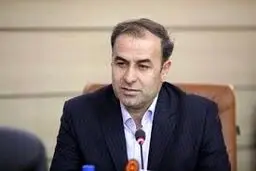مدیرکل بهزیستی استان زنجان |  درخواست فرزندخواندگی اینترنتی شد 