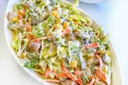 سالاد مرغ رو تا الان اشتباه درست می‌کردی بیا تا بهت یاد بدم | آموزش تهیه سالادمرغ+ویدئو