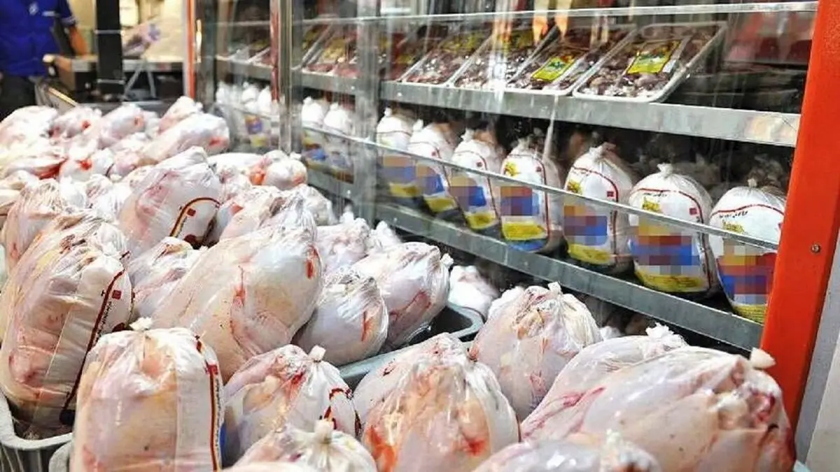 پیش‌بینی قیمت مرغ   | ثبات و آرامش به بازار مرغ بازمیگردد