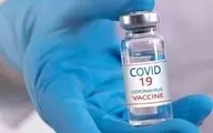 مخبر: واکسن ایرانی به زودی تولید و در اختیار مردم قرار می گیرد