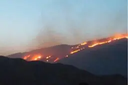 پیگیر اعزام بالگرد و مهار آتش سوزی منطقه خائیز از طریق مسئولان کشوری