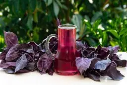 خواص بی‌نظیر شربت ریحان | اگر بعد از افطار شربت ریحان بنوشید