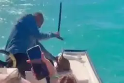 تشکیل پرونده قضایی علیه فرد حیوان‌آزار در گناوه