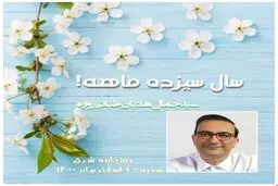 سال سیزده‌ماهه!
