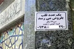  گزارشی تکان‌دهنده از فروش اعضای بدن در ایران+ویدئو