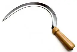 این بار با داس به جان زن کلاردشتی افتادند! | حمله خونین به دست یک‌مقام دولتی صورت گرفته است + تصویر