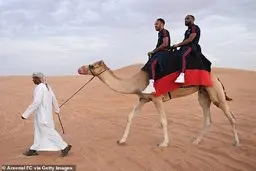 شترسواری ستاره‌های آرسنال در دبی 