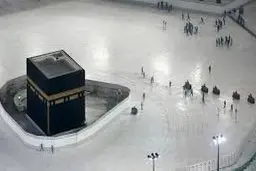  گفت وگو سازمان بهداشت جهانی: با عربستان برای به تأخیر انداختن حج امسال