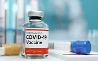 
سعید نمکی رییس و اعضای کمیته کشوری ساخت واکسن کرونا را منصوب کرد
