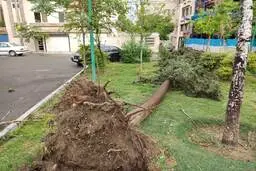 
تصاویر خسارات توفان تهران
