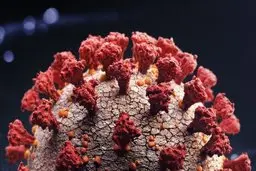 احتمال سرایت پذیری بیشتر سویه دلتا پلاس