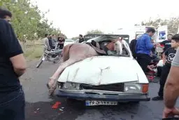 یک اسب در اصفهان حادثه آفرید | مصدومیت ۶ نفر و مرگ یک اسب در حادثه عجیب + جزئیات