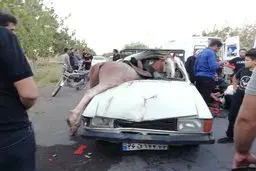 یک اسب در اصفهان حادثه آفرید | مصدومیت ۶ نفر و مرگ یک اسب در حادثه عجیب + جزئیات