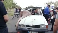 یک اسب در اصفهان حادثه آفرید | مصدومیت ۶ نفر و مرگ یک اسب در حادثه عجیب + جزئیات