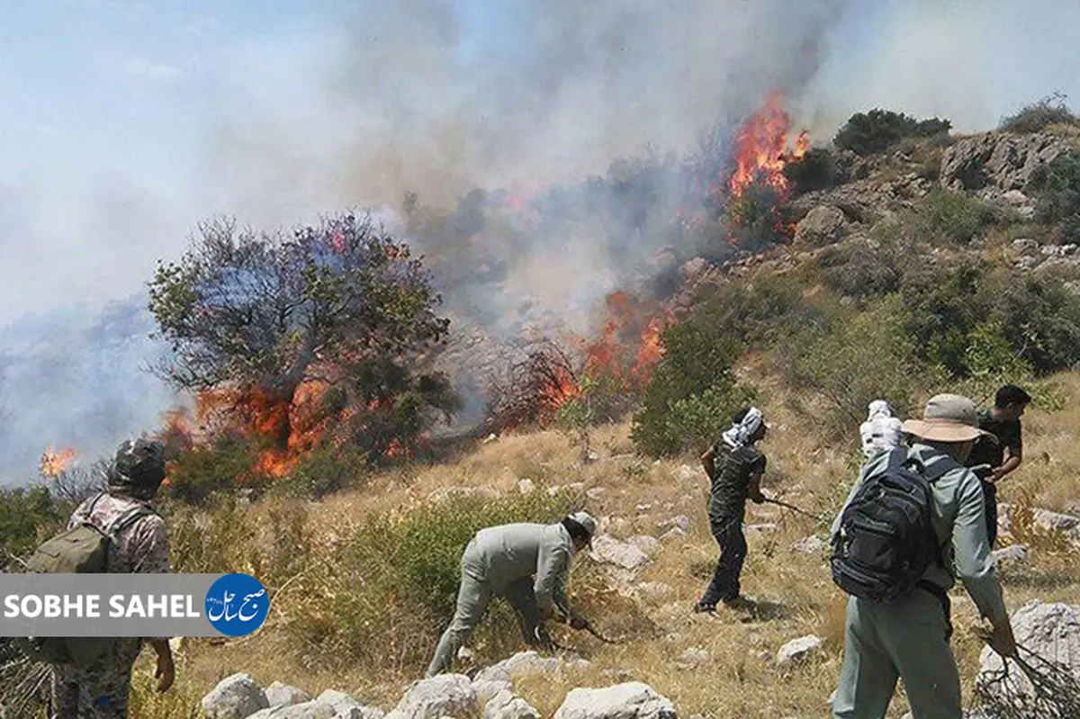 جنگل‌های ماهورباشت دچار حریق شد 