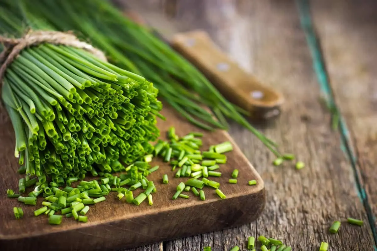 اگر طرفدار غذاهای شمالی هستی بیا سیرابیج یاد بگیر برای ناهار درستش کن