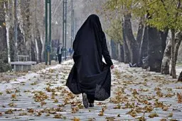 آیا افزایش حضور زنان در دولت به فساد مالی کمتری منجر می شود؟ | جنسیت و فساد