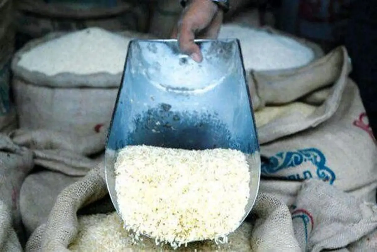 برنج ۹۵ هزار تومان شد |  حمله به برنج گران ایرانی با برنج معطر خارجی