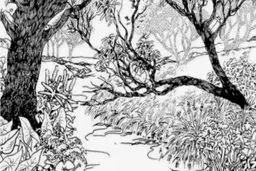 اگر تیزبین هستید، صورت دختر را در تصویر پیدا کنید؟ + پاسخ