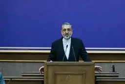 سخنگوی قوه قضاییه: حکم اعدام برای سلطان خودرو و همسرش