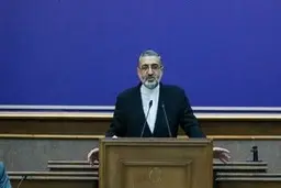 سخنگوی قوه قضاییه: حکم اعدام برای سلطان خودرو و همسرش