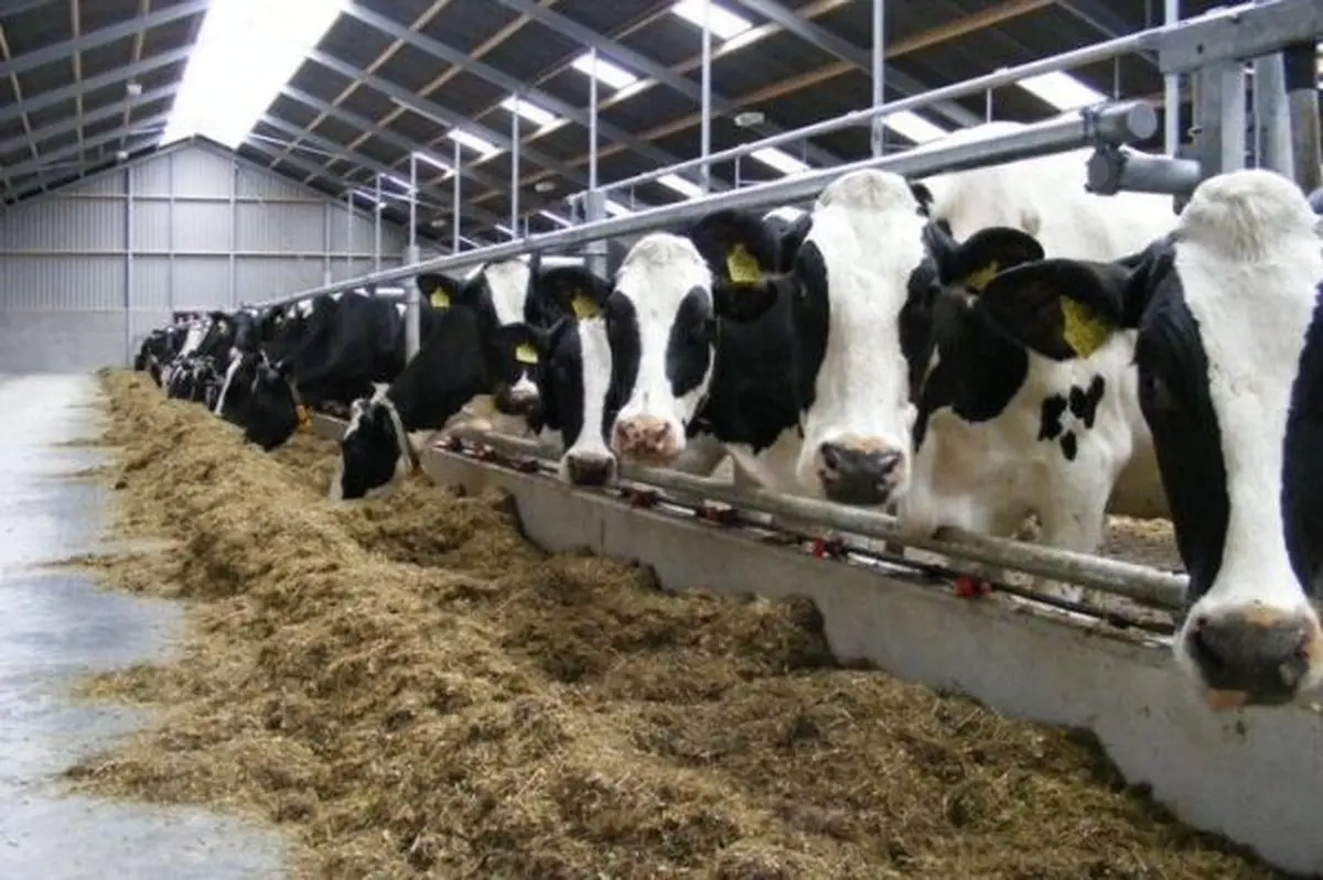 
 افزایش قیمت شیر خام  احتمالا تا هفته آینده مشخص می‌شود.
