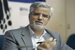 روایت صادقی از بازداشت مدعیان ارتباط با شورای نگهبان 