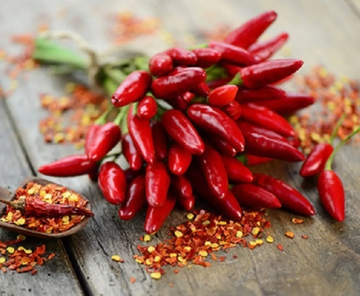 غذای تند بخورید، دیرتر بمیرید!