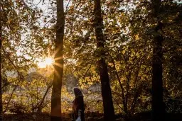 کاهش دمای تهران تا ۷ درجه | بارش پراکنده در پایتخت