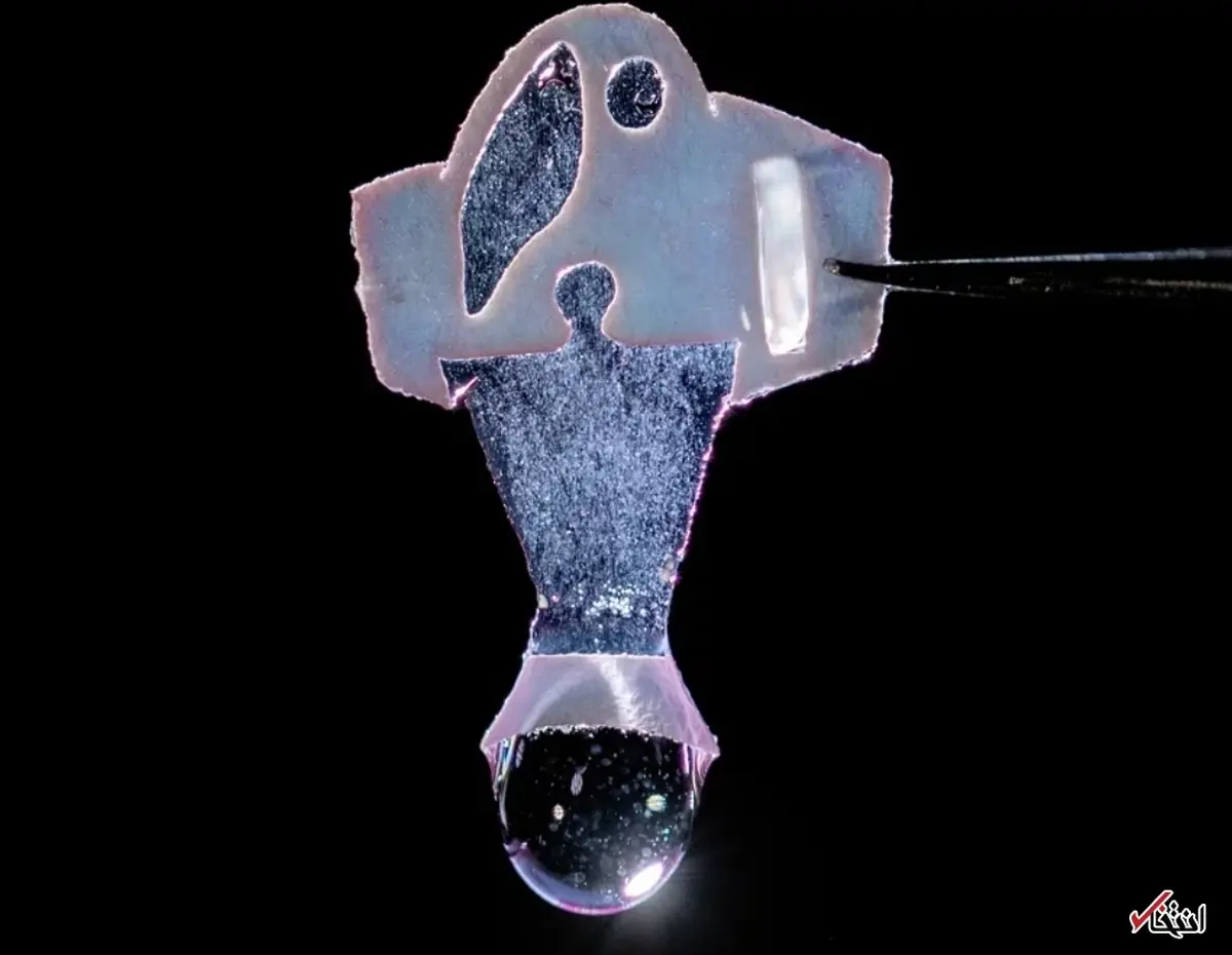 
ساخت نوعی از  ماهی رباتیکی با ضربان سلول‌های قلب انسان
