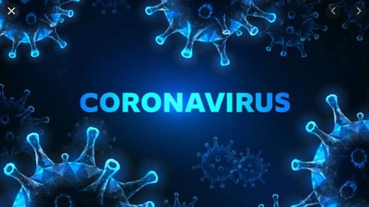 ویروس کرونای جدید کشف شد