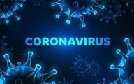 ویروس کرونای جدید کشف شد