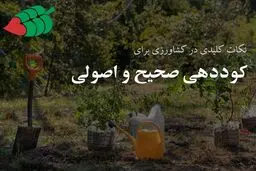نکات کلیدی برای کوددهی صحیح و اصولی در کشاورزی