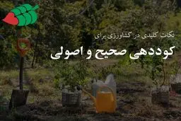 نکات کلیدی برای کوددهی صحیح و اصولی در کشاورزی