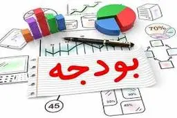  رقم بودجه شرکت های دولتی واقعی نیست