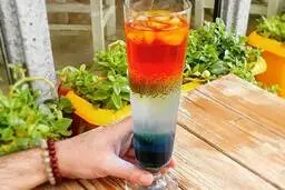 از این به بعد خاکشیر و تخم شربتی رو اینطوری که میگم درست کن |  طرز تهیه شربت ژله‌ای با خاکشیر و تخم شربتی | اینو درست کنی همه بدون غر زدن میخورن! + ویدئو