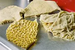 سیرابی خام، غذایی مقوی در میان بومیان آفریقا، سوژه شبکه‌های اجتماعی شد 
| واکنش‌های عجیب  کاربران به خوردن سیرابی خام و کثیف در آفریقا +ویدئو