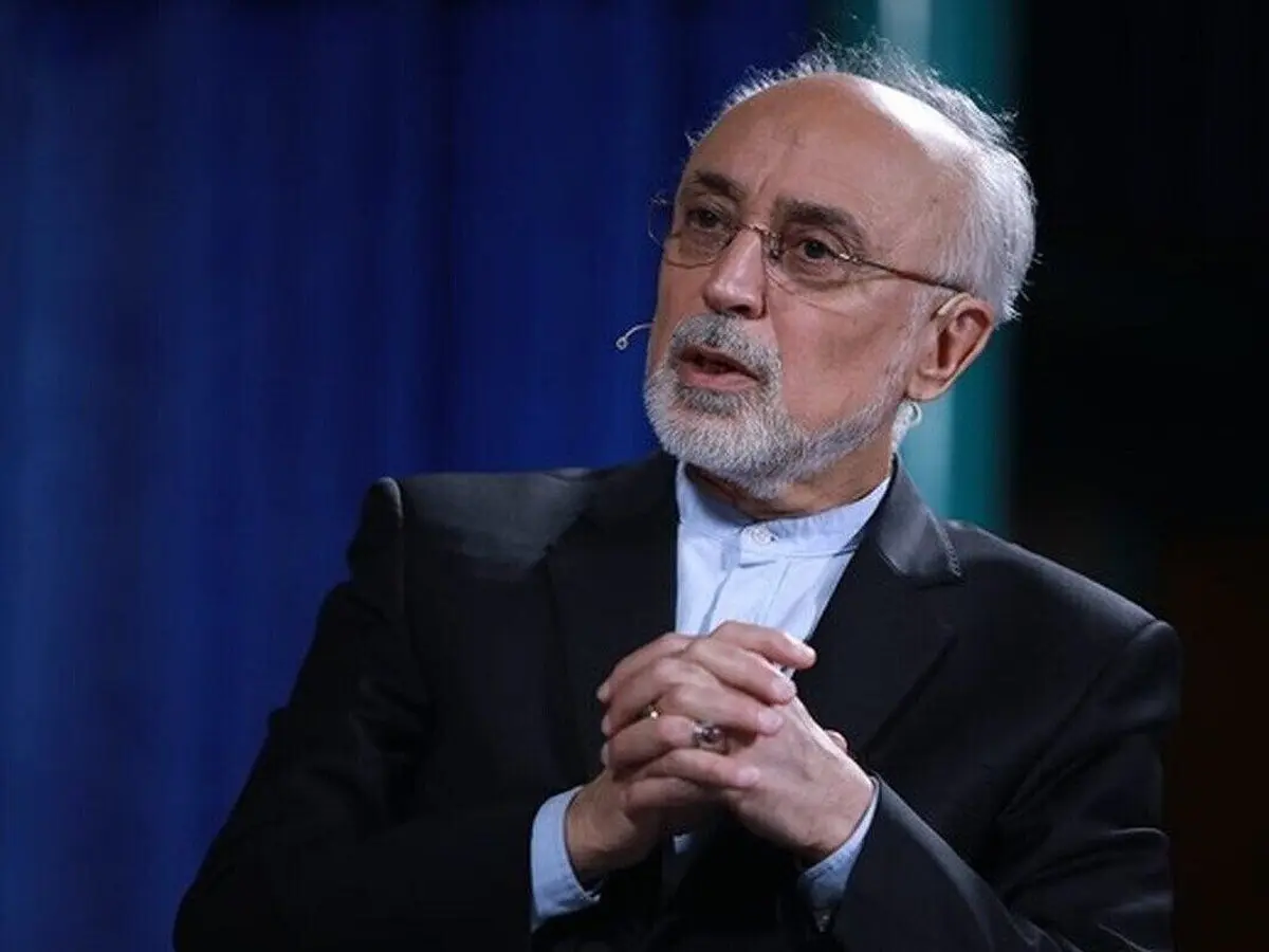 علی اکبر صالحی در پاسخ به جلیلی: انتظار نداریم از کسی که مدعی تقواست چنین حرف هایی زده شود | گفتگوی جنجالی علی اکبر صالحی، رئیس پیشین سازمان انرژی اتمی و سعید جلیلی