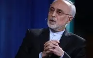صالحی: انقلاب اسلامی تصمیم یک شبه نبود | به آینده کشور بسیار امیدوارم