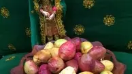 با گارومزنگی، میوه‌ای خوشمزه از جنوب ایران آشنا بشید