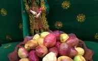 با گارومزنگی، میوه‌ای خوشمزه از جنوب ایران آشنا بشید