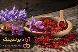 استراتژی های برتر برای رشد کسب و کار