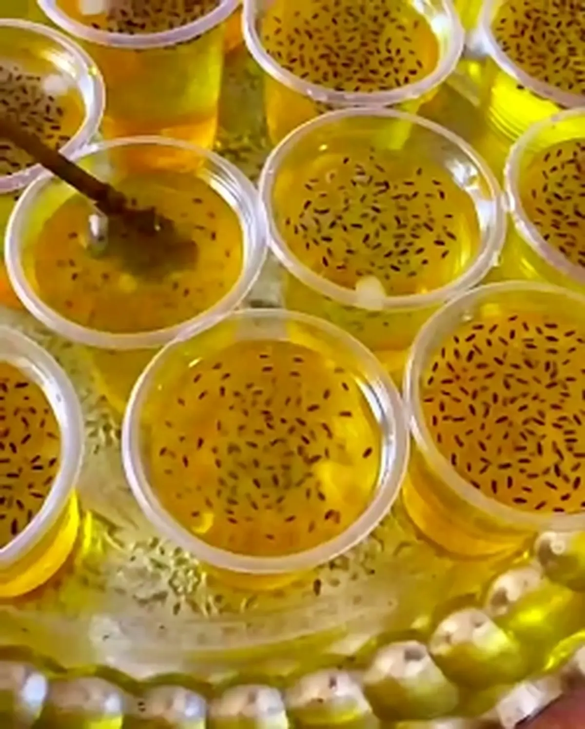 اگر میخوای تخم شربتی توی شربت ته نشین نشه باید این کارو انجام بدی | اینطوری هم خوشمزه تر میشه هم دیگه ته نشین نمیشه! + ویدئو