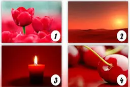 تست شخصیت شناسی از انتخاب یکی از رنگ های قرمز